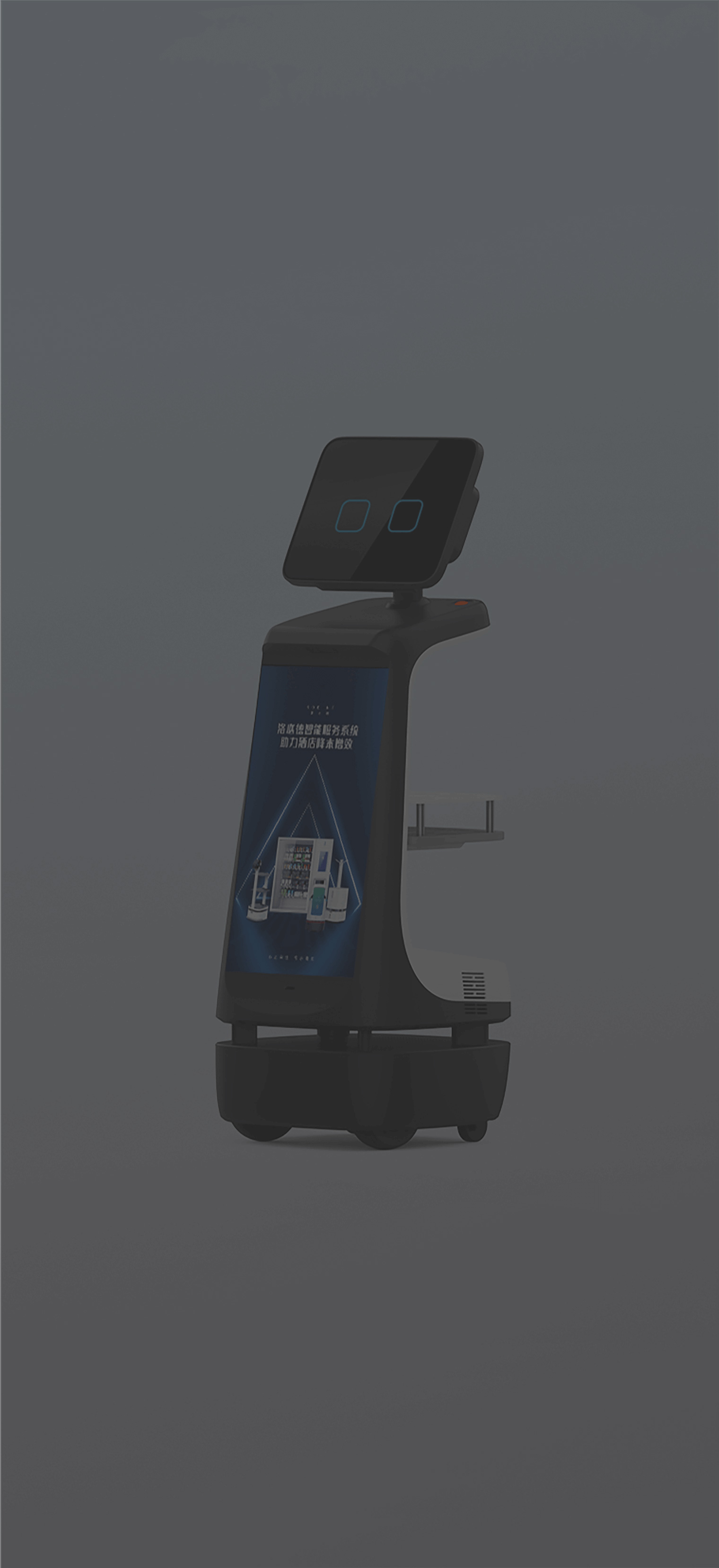 Reception Service Robot