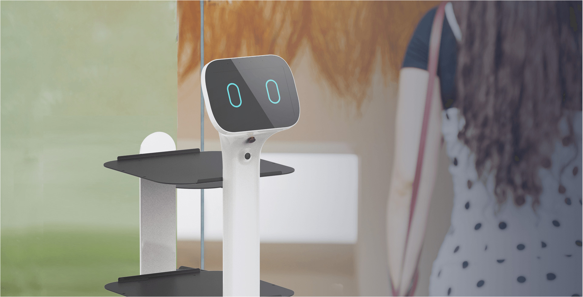 Intelligent reception services including showing the way