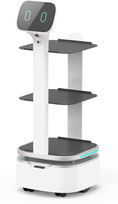 Food Delivery Robot
